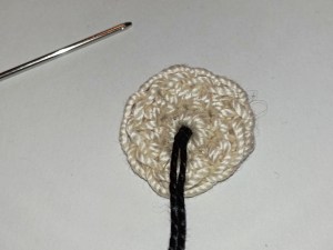 le fil pour broder la pupille ressort au centre du support