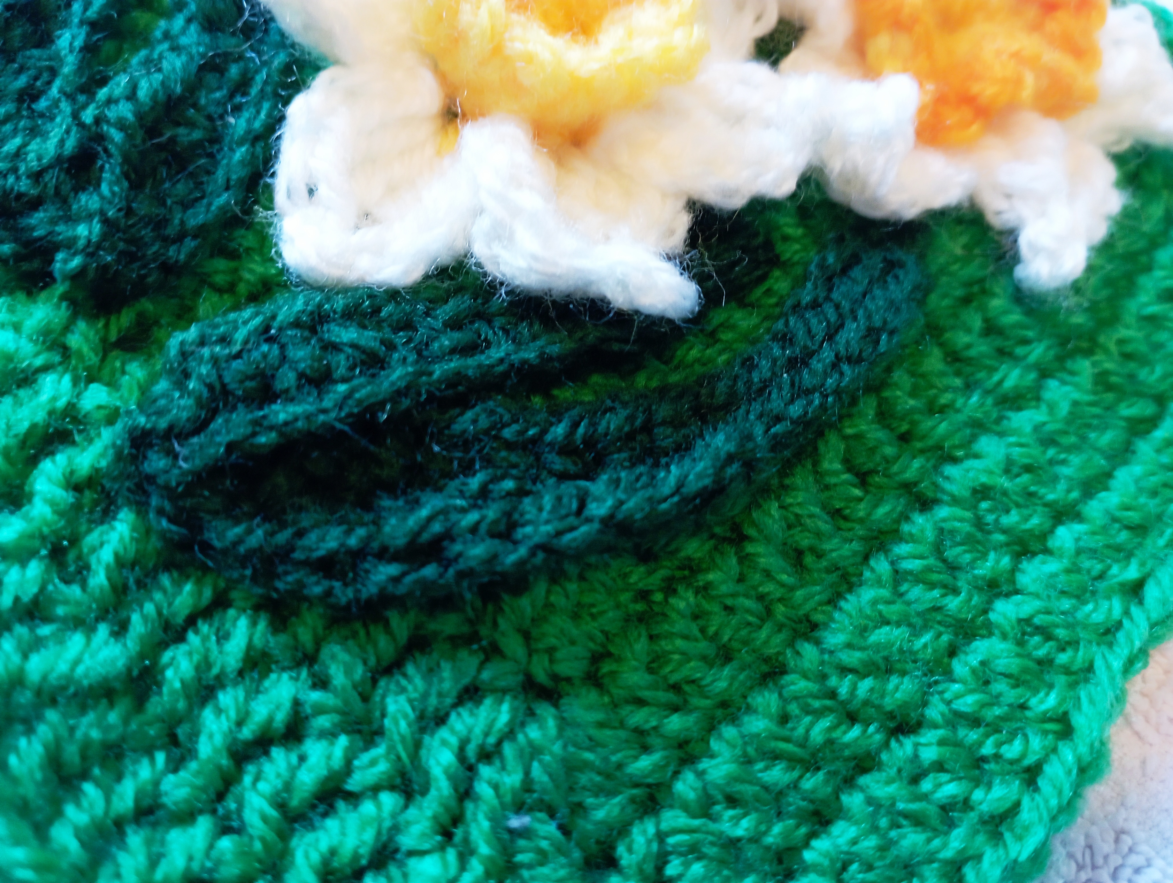 jonquilles feuilles 1