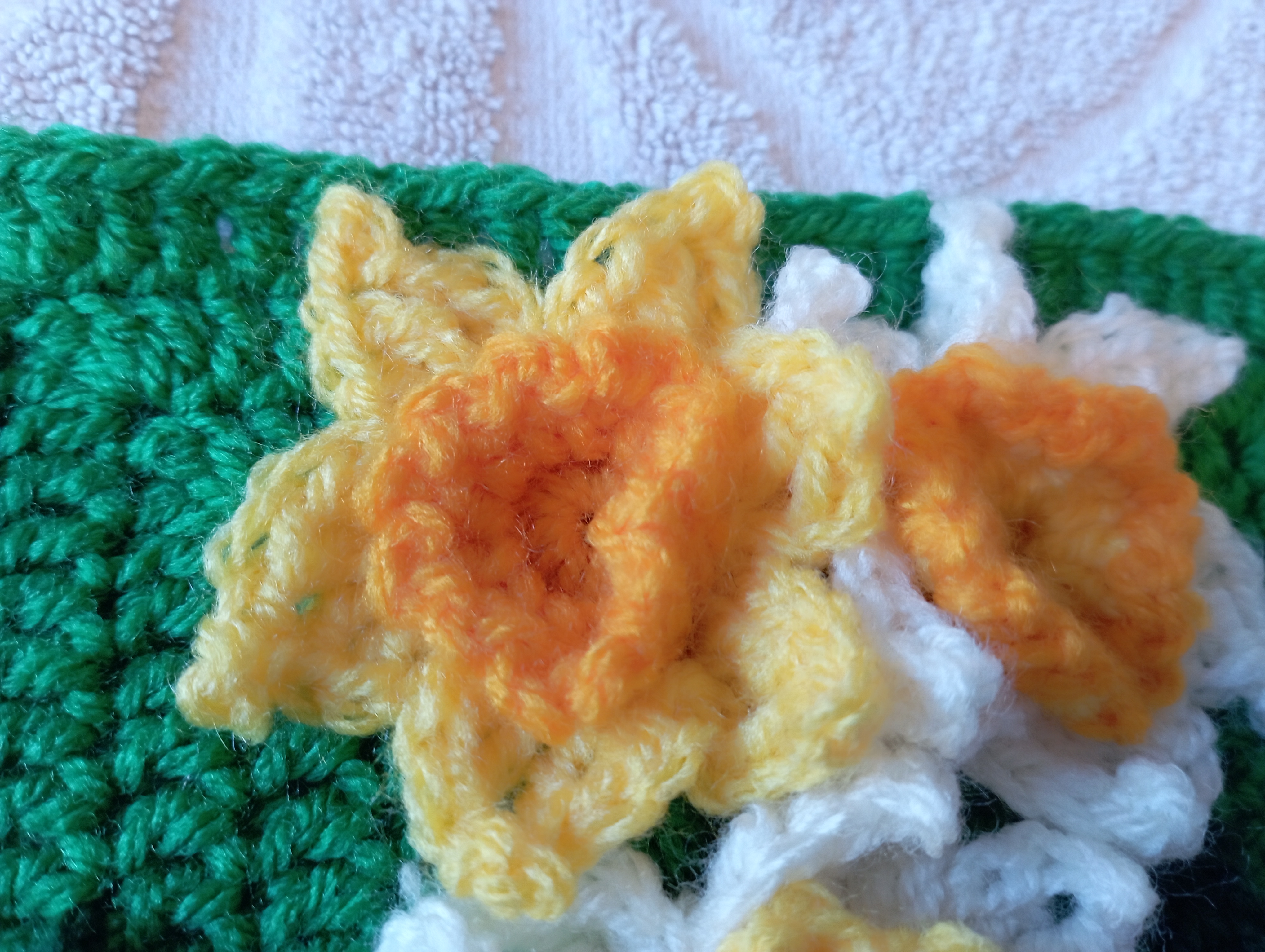 jonquille corolle jaune et jaune d'oeur pétales blancs