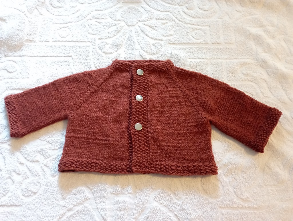 duo spring cardigan terminé bis