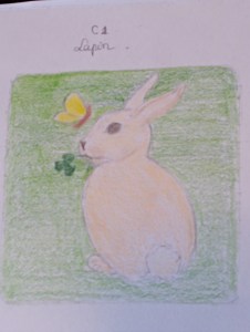 granny lapin croquis