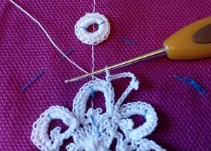 médaillon fig 33 Priscilla 2 maillage 1