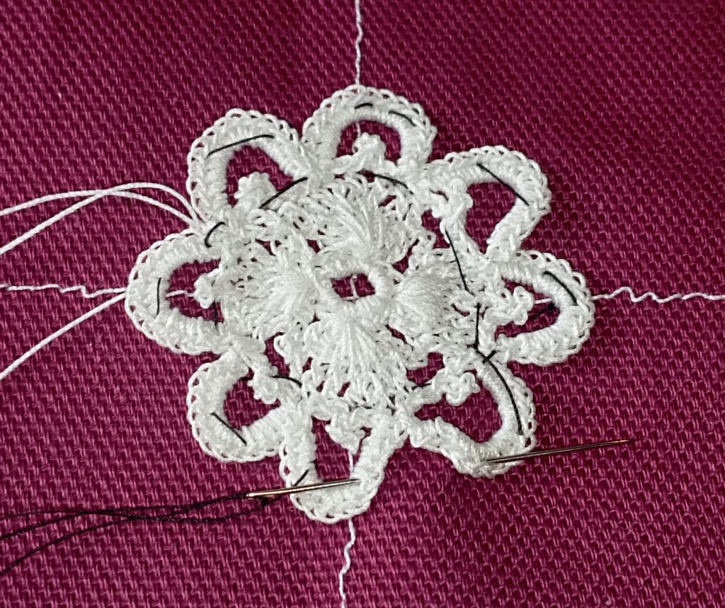 médaillon fig 33 Priscilla 2 placement provisoire 2