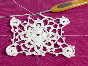 médaillon fig 33 Priscilla 2 maillage 4