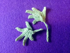 feuilles Priscilla 1